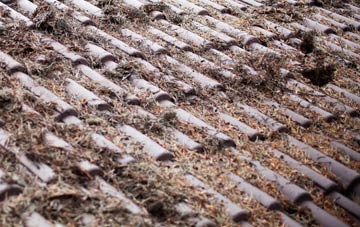 Davids Well roof cleaning companies