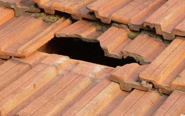 roof repair Davids Well, Powys